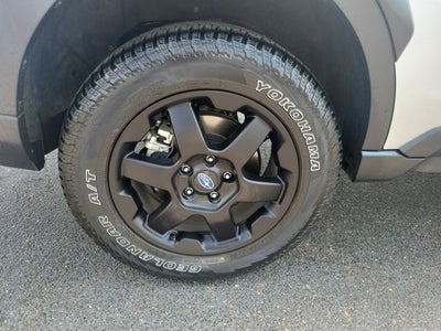 2025 Subaru Outback Wilderness