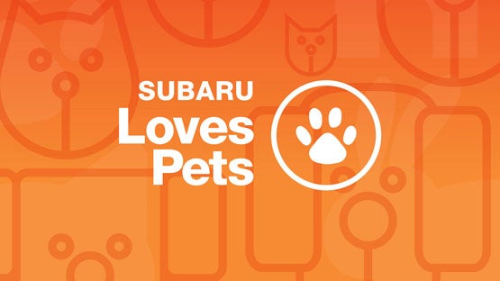 Paul Moak Subaru in Jackson MS