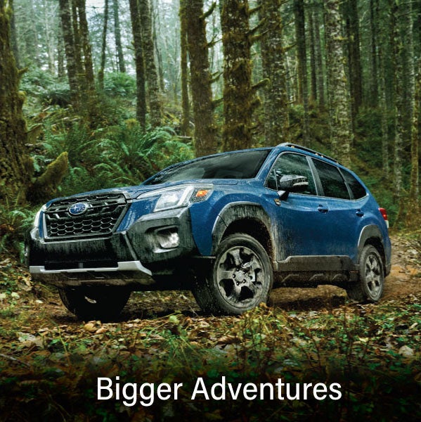 A blue Subaru outback wilderness with the words “Bigger Adventures“. | Paul Moak Subaru in Jackson MS